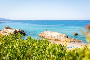 Découvrir la Corse au printemps