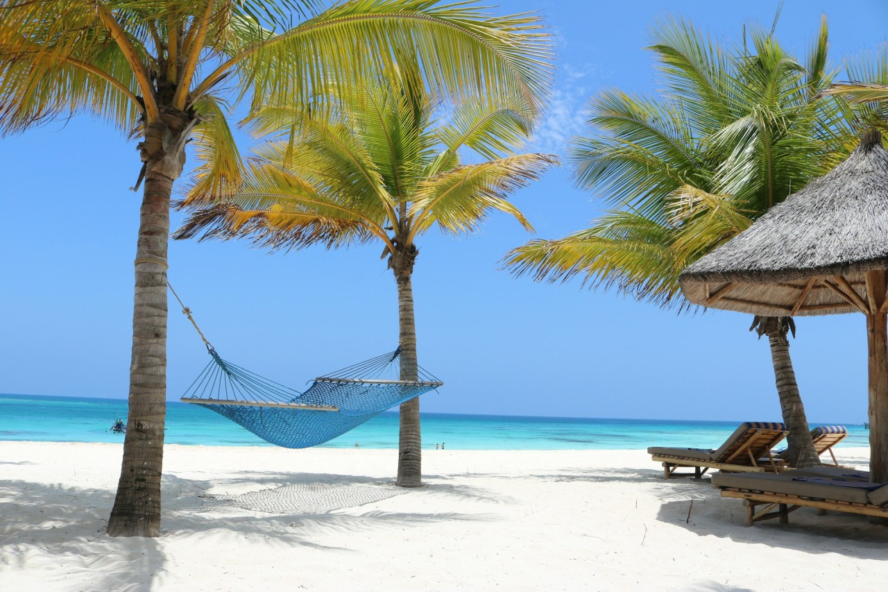 Destination soleil en hiver